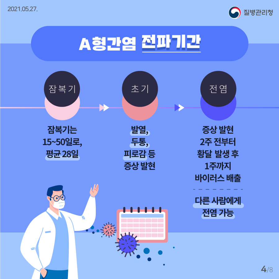 2021년 5월 27일 질병관리청 A형간염 전파기간. 잠복기: 잠복기는 15~50일로 평균 28일. 초기: 발열, 두통, 필로감 등 증상 발현. 전염: 증상 발현 2주 전부터 황달 발생 후 1주까지 바이러스 배출. 다른 사람에게 전염 가능